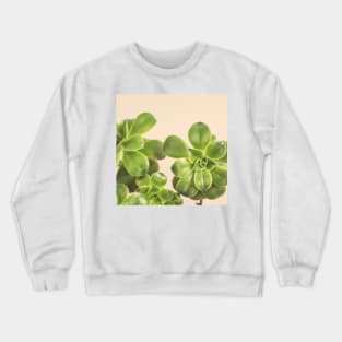 Pinwheel Crewneck Sweatshirt